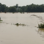 একাধিক জলধারা থেকে জল ছাড়ার কারণে দুশ্চিন্তা বাড়ছে ডেবরাবাসীর! ঘর ছাড়া বহু পরিবার।